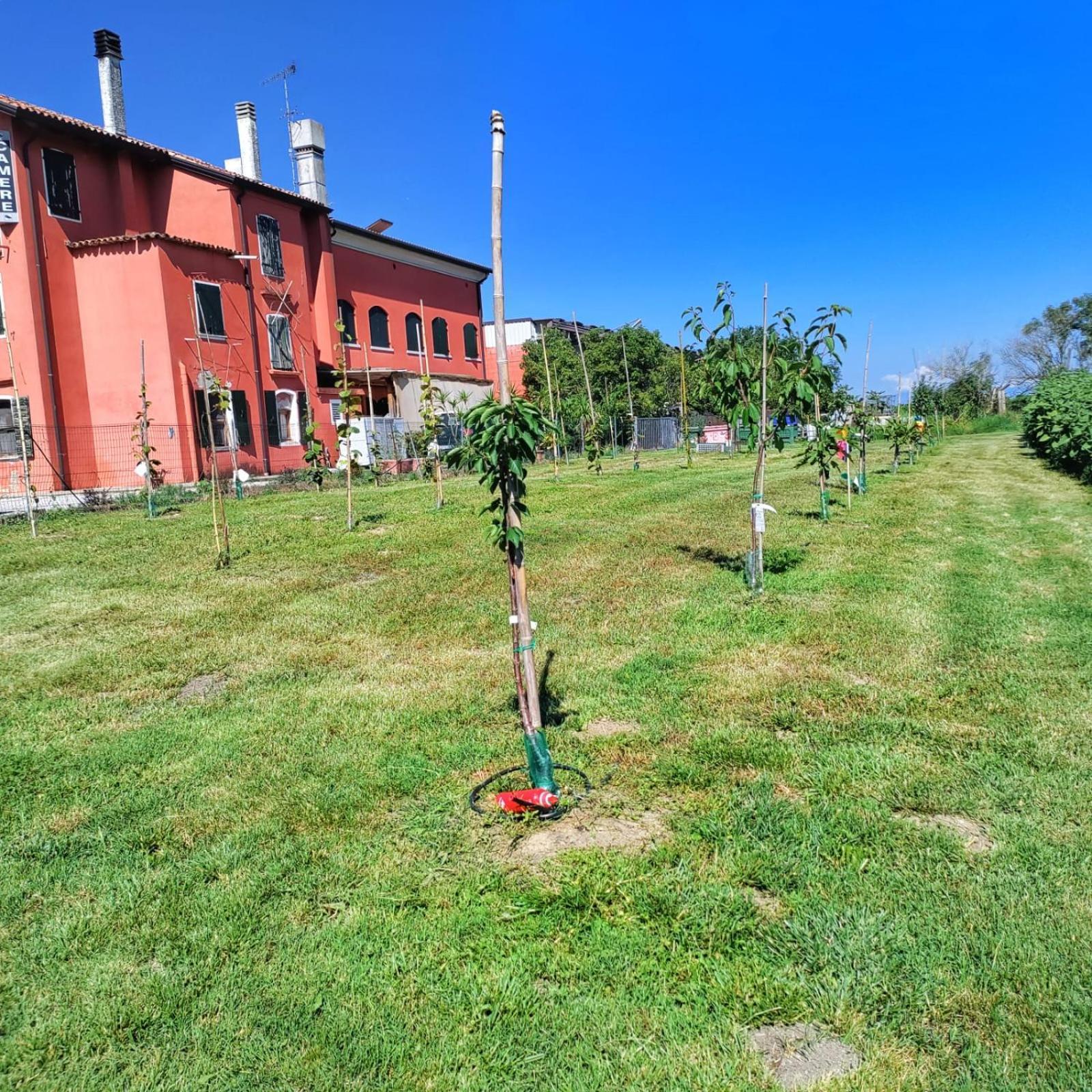 Quadrifoglio Relax Konuk evi San Donà di Piave Dış mekan fotoğraf