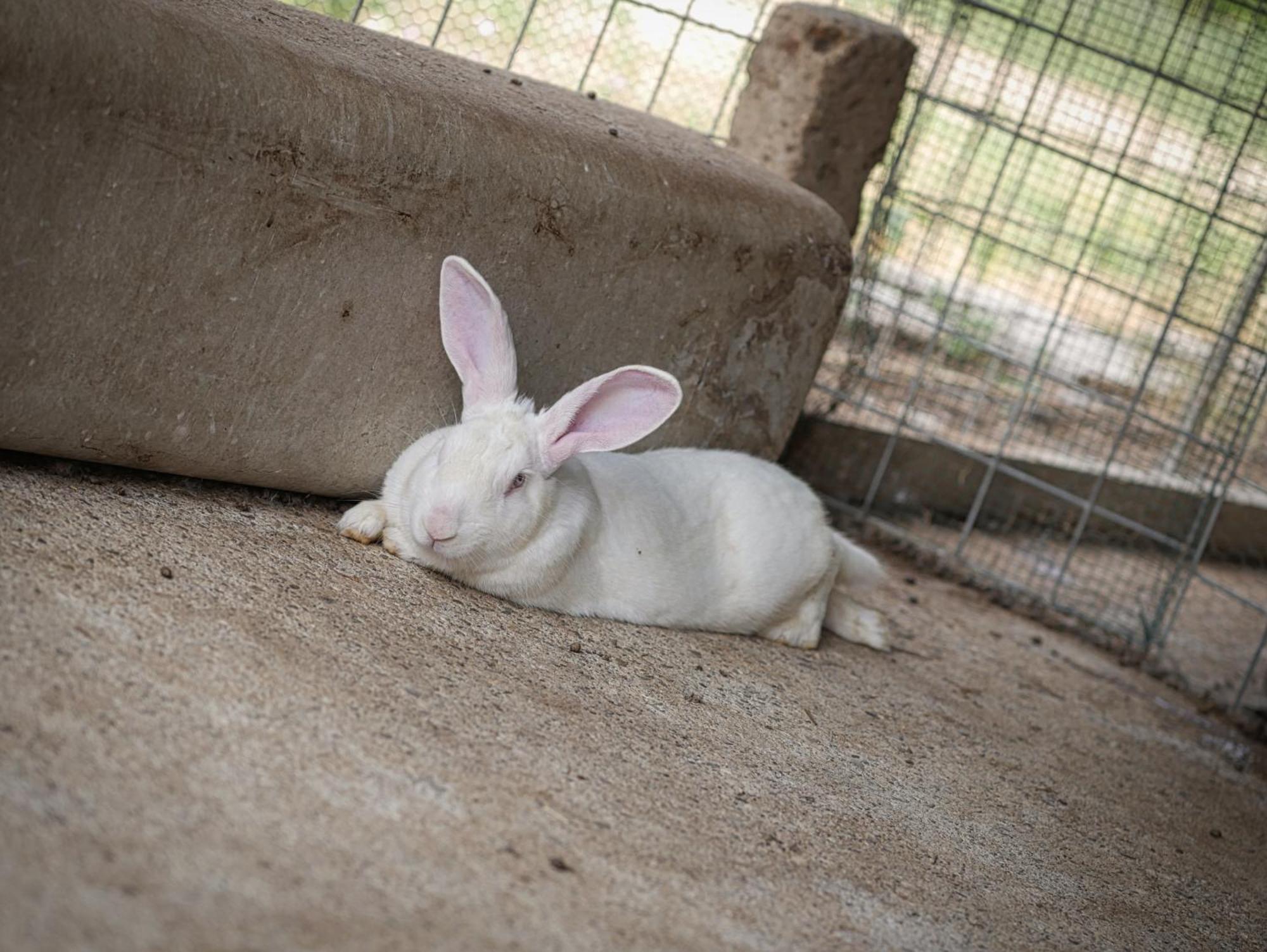 Quadrifoglio Relax Konuk evi San Donà di Piave Dış mekan fotoğraf